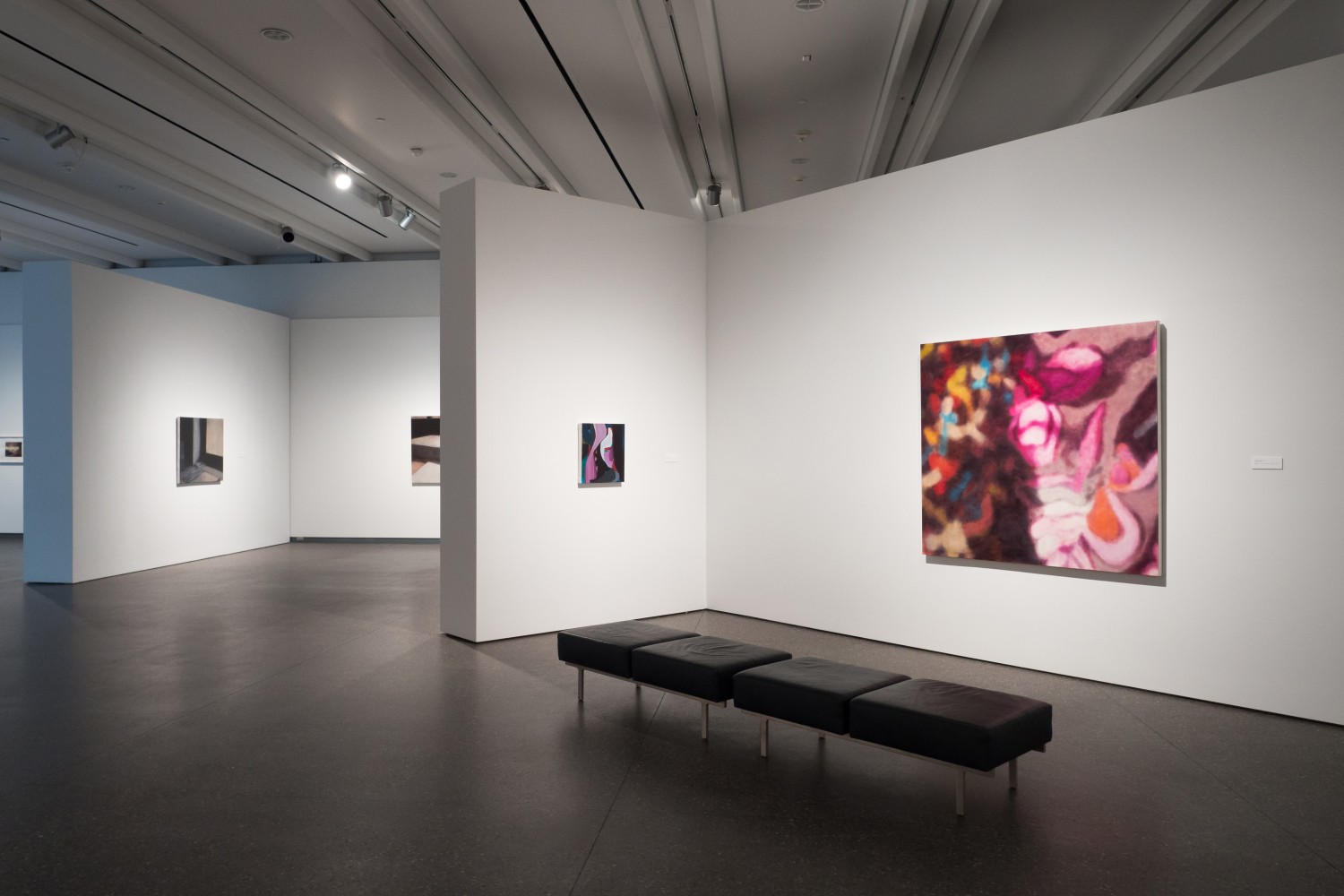 Liliane Tomasko
In Visible World, 2015
Phoenix Art Museum, USA