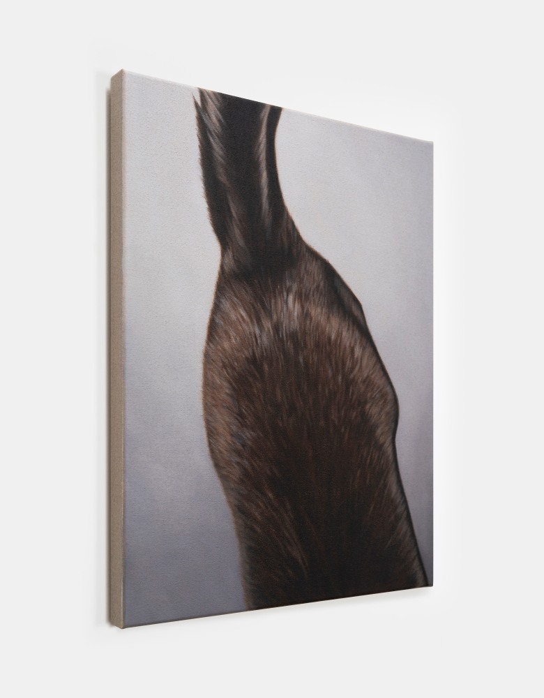 Marcel Vidal

Cat II,&amp;nbsp;2024

oil on linen

45 x 35 cm / 17.7 x 13.8 in