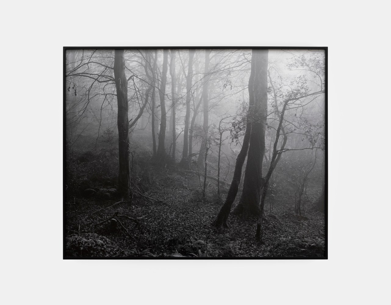 Willie Doherty

Unknown,&amp;nbsp;2024

Pigment print on Hahnem&amp;uuml;hle Photo Rag Baryta 315gsm, edition of 3

109 x 135.5 cm / 42.9 x 53.3 in framed