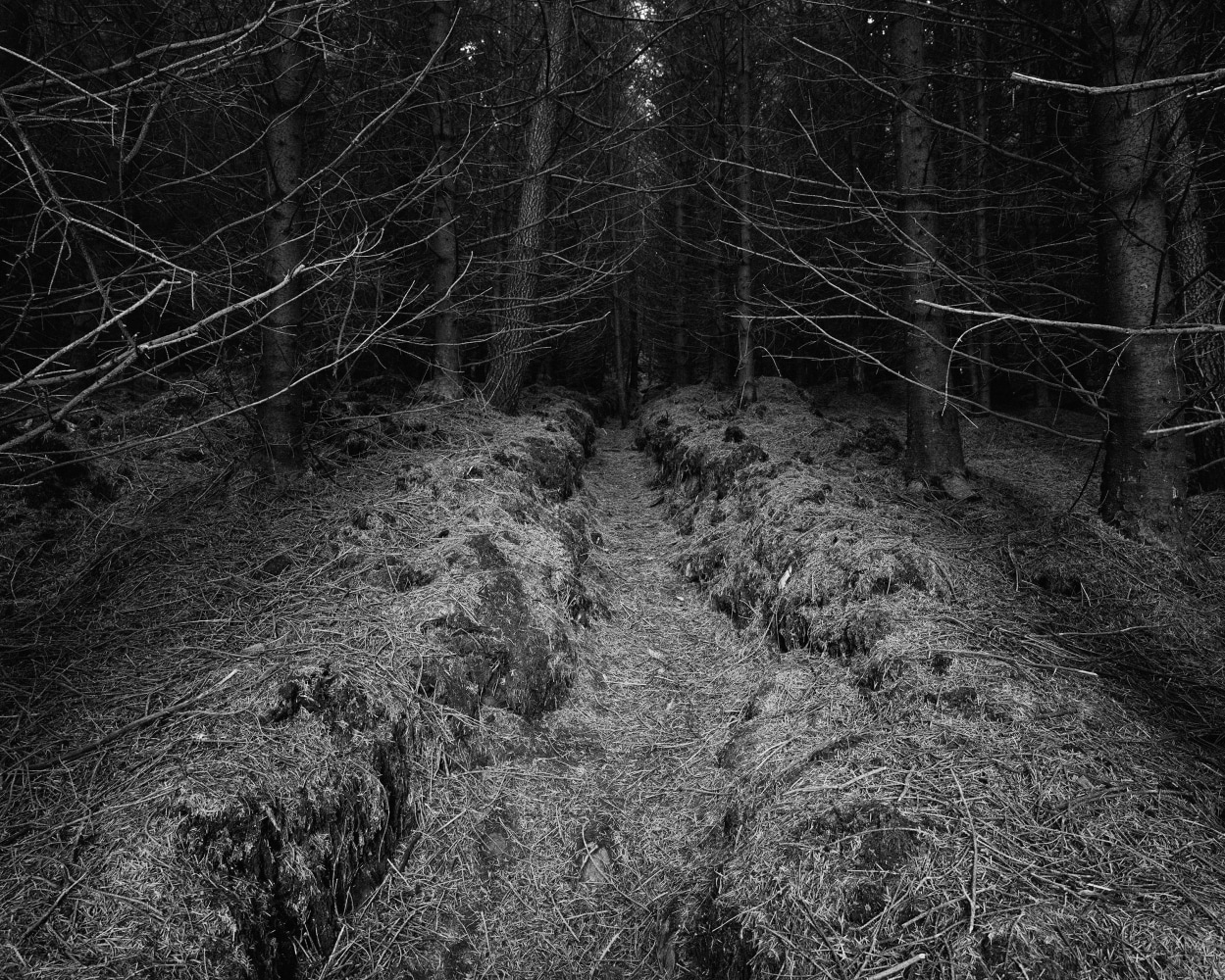 Willie Doherty, Wrong Time, 2023