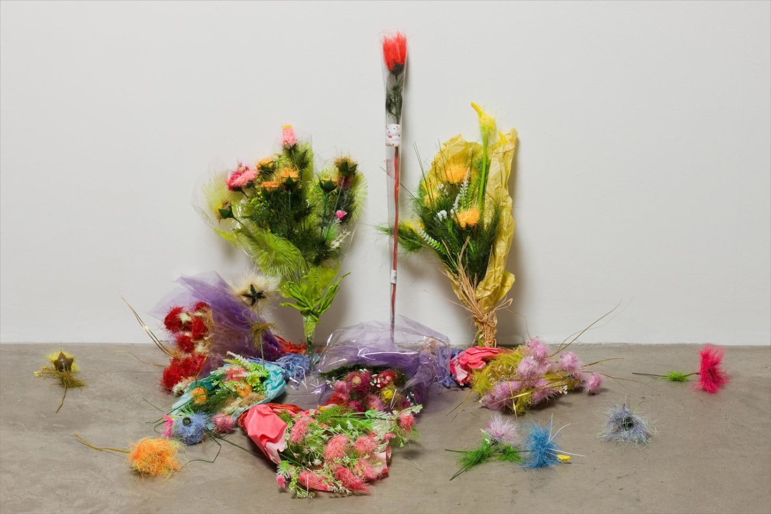 Aoife Collins, If looks could kill, I’d watch you die