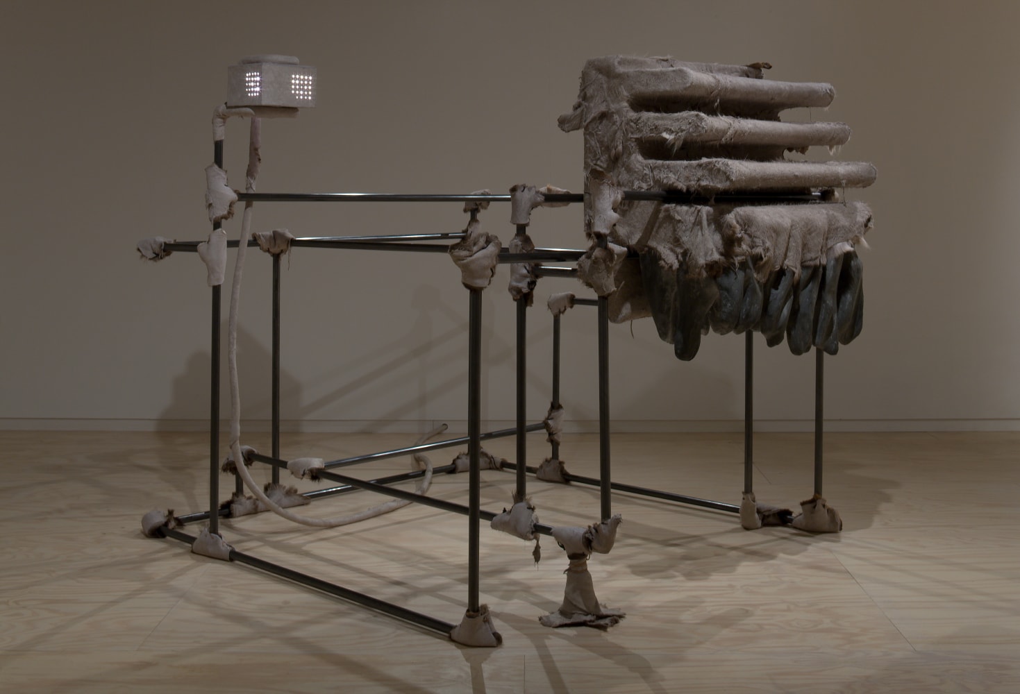 Siobh&amp;aacute;n Hapaska
The Nose that Lost its Dog, 2009
Glasgow Sculpture Studios, Glasgow, UK