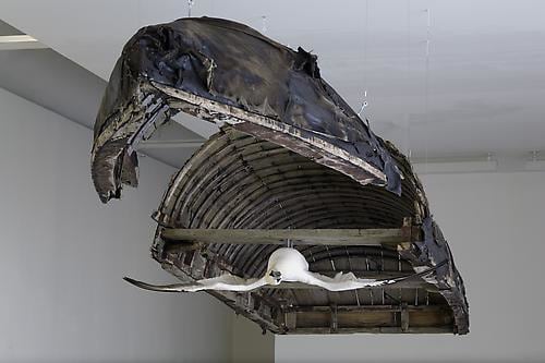 Dorothy Cross, Sapiens, Kerlin Gallery, 23 March - 28 April 2007