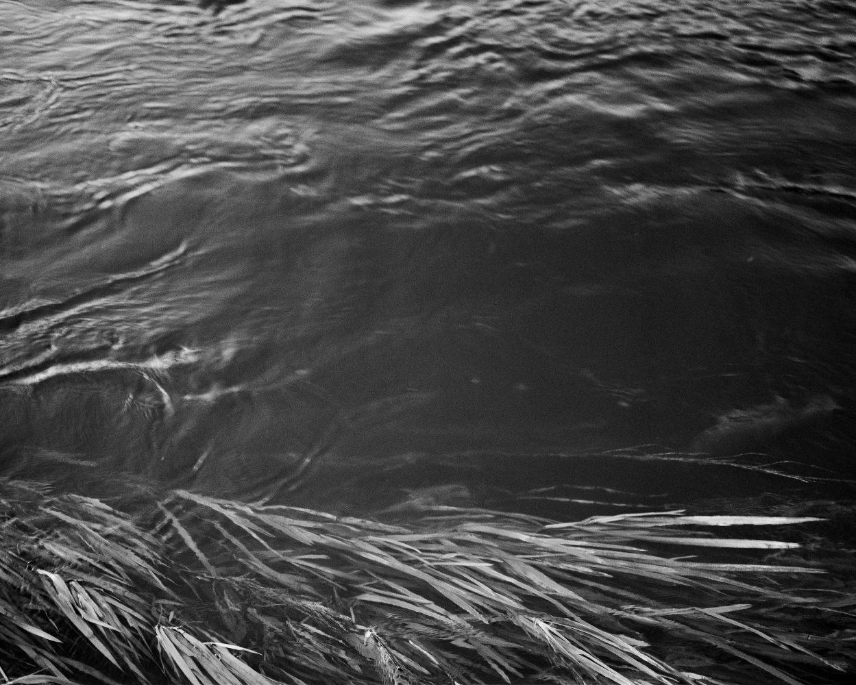 Willie Doherty, Echoes, 2023