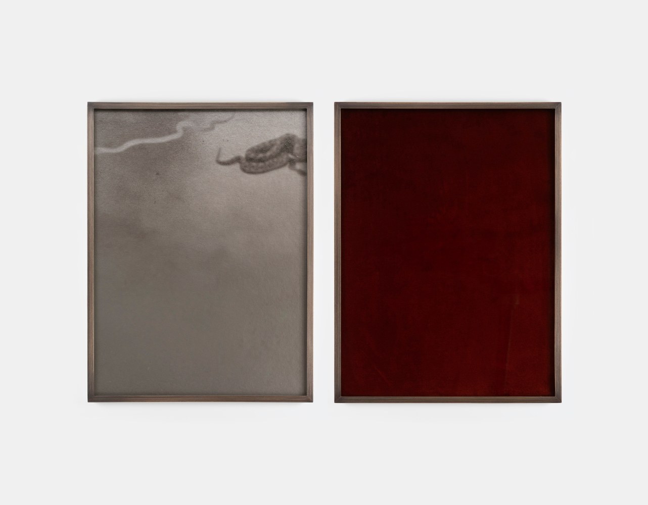 Ailbhe N&amp;iacute; Bhriain&amp;nbsp;

Untitled (snake),&amp;nbsp;2025

diptych, pigment print on Hahnem&amp;uuml;hle Photo Rag Metallic, velvet, brass frame with Optium museum acrylic, edition of 3

45 x 34 x 4 cm / 17.7 x 13.4 x 1.6 in framed each

&amp;nbsp;