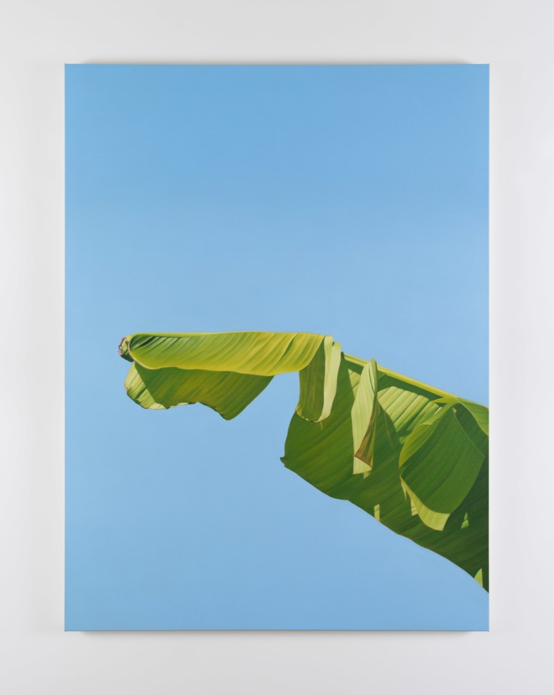 Marcel Vidal
Banana X, 2022
oil on linen
160 x 120 cm / 63 x 47.2 in&amp;nbsp;