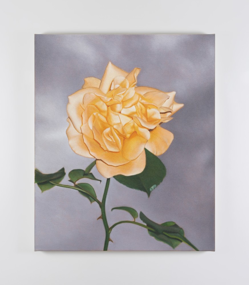 Marcel Vidal&amp;nbsp;
Rose Sky,&amp;nbsp;2023
oil on linen
60 x 50 cm / 23.6 x 19.7 in&amp;nbsp; &amp;nbsp;