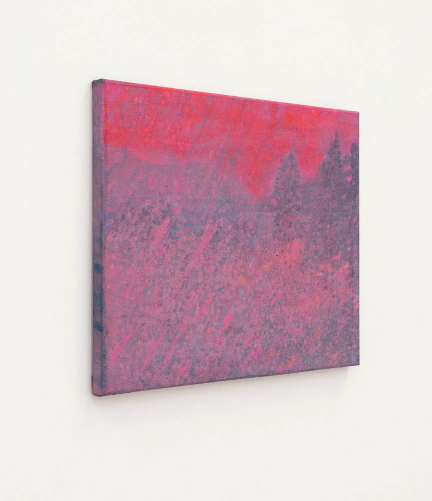 Elizabeth Magill&amp;nbsp;
Flush, 2021
oil on canvas
35.5 x 45.5 cm / 14 x 17.9 in&amp;nbsp; &amp;nbsp;

&amp;nbsp;