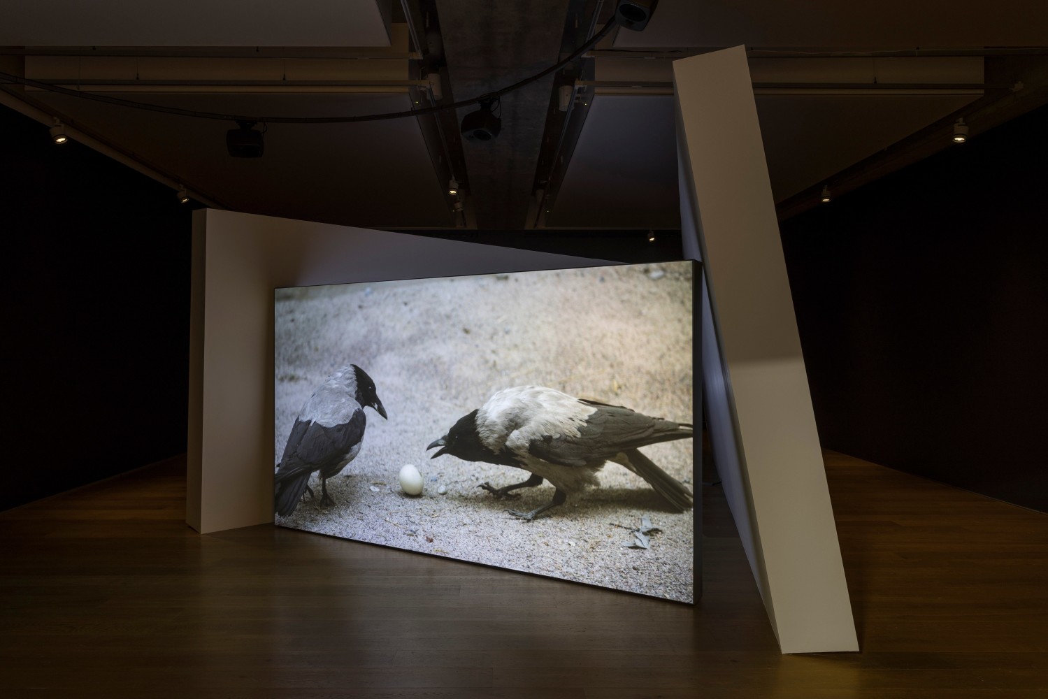 Gerard Byrne
Jielemeguvvie guvvie sjisjnjeli (Film inside an image), 2024
Towner Eastbourne, UK
Photo: Rob Harris