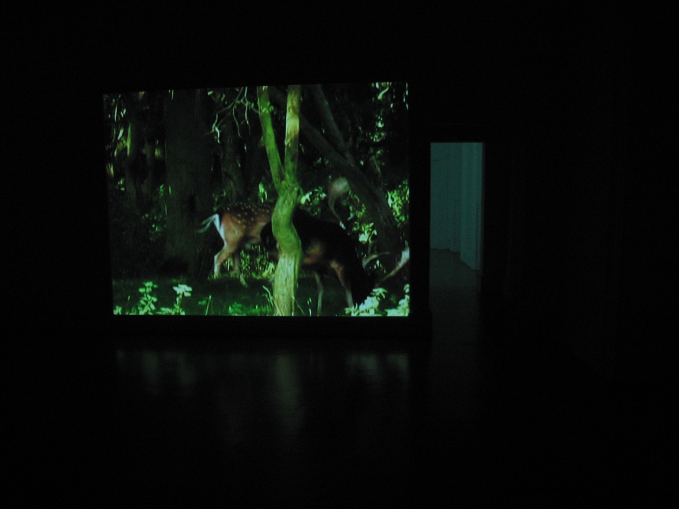 Jaki Irvine
The Silver Bridge, 2005-06
Irish Museum of Modern Art, Dublin, Ireland