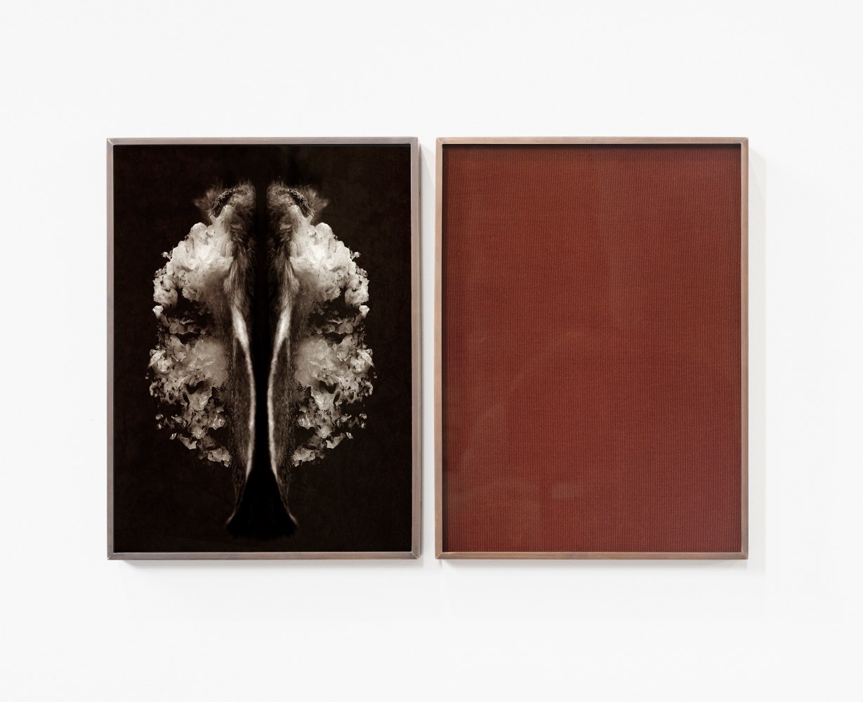 Ailbhe Ní Bhriain, An Expe­ri­ment with Time, Kunsthal Gent