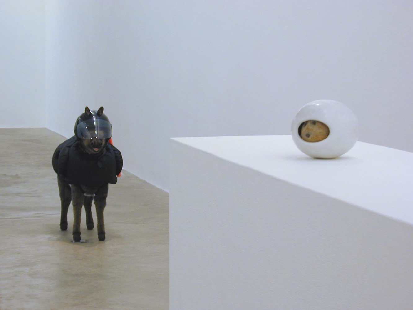 Siobhán Hapaska, Cease Firing On All Fronts, 02