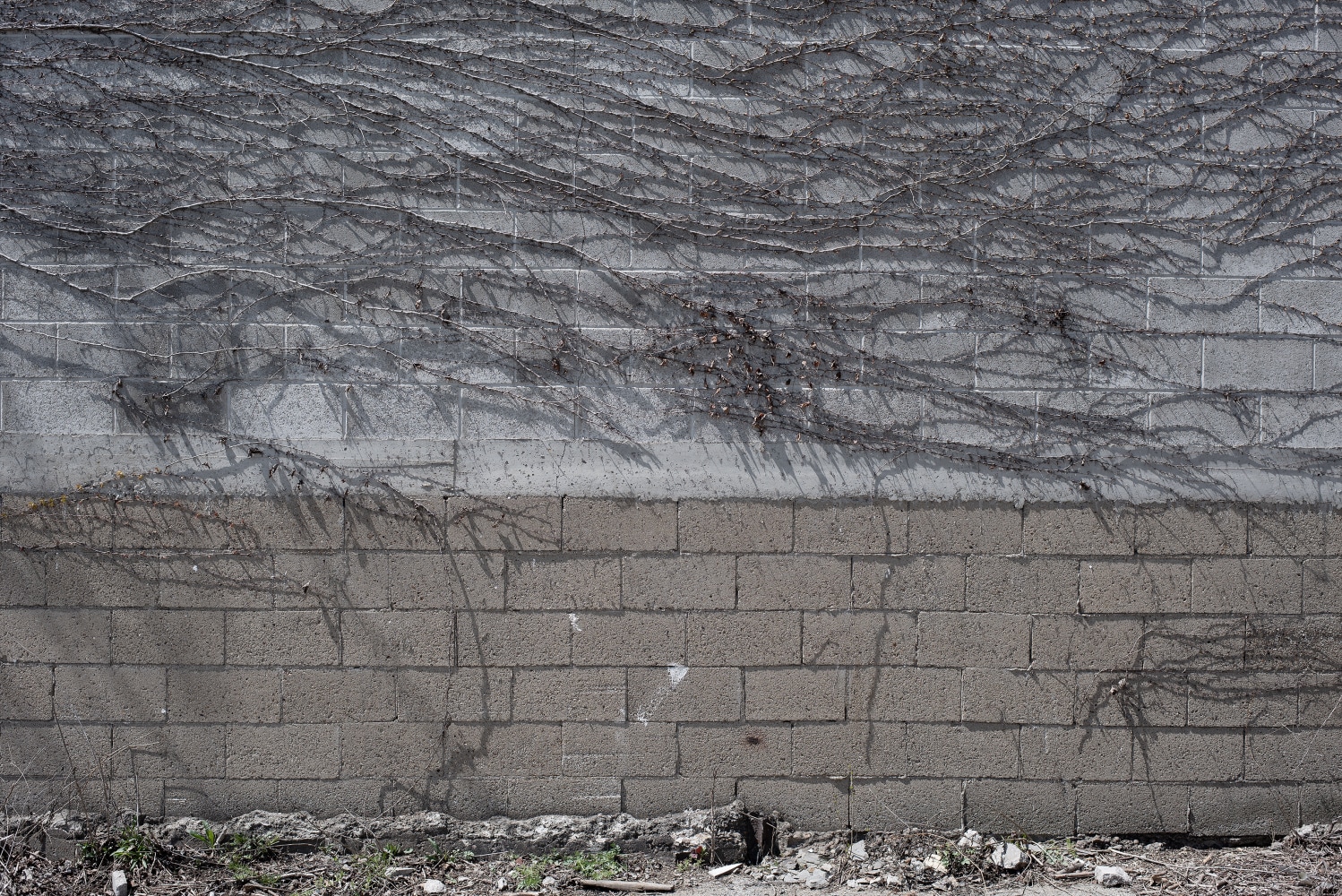 Willie Doherty&amp;nbsp;
Dreams of Security, Dreams of Infiltration, 2018
diptych, framed pigment print mounted on Dibond, edition of 3
107.5 x 160.5 cm / 42.3 x 63.2 in each framed&amp;nbsp;

&amp;nbsp;