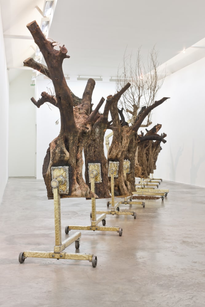 Siobh&amp;aacute;n Hapaska&amp;nbsp;
a great miracle needs to happen there, 2011
olive trees &amp;ldquo;Olea europaea&amp;rdquo;, lead free solder, brass, steel, cast iron, 9 elements
dimensions of each vary