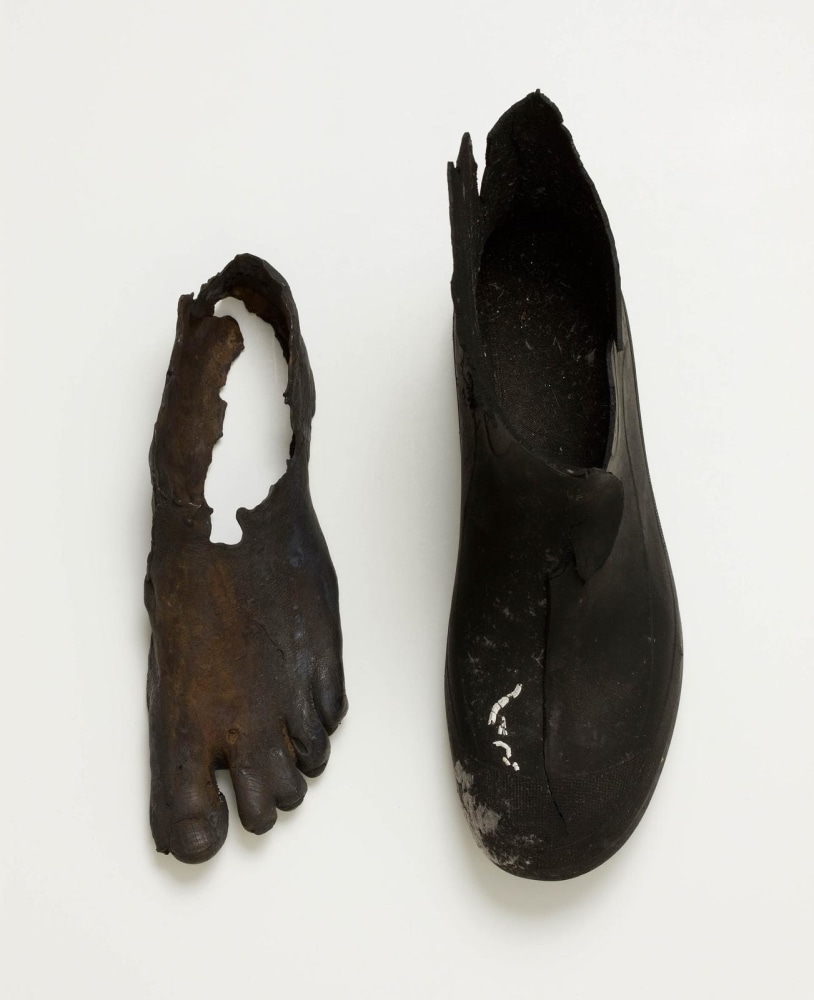 Dorothy Cross, Foot and Boot