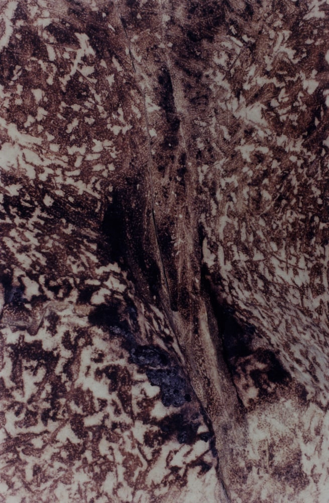 Samuel Laurence Cunnane, Sleight