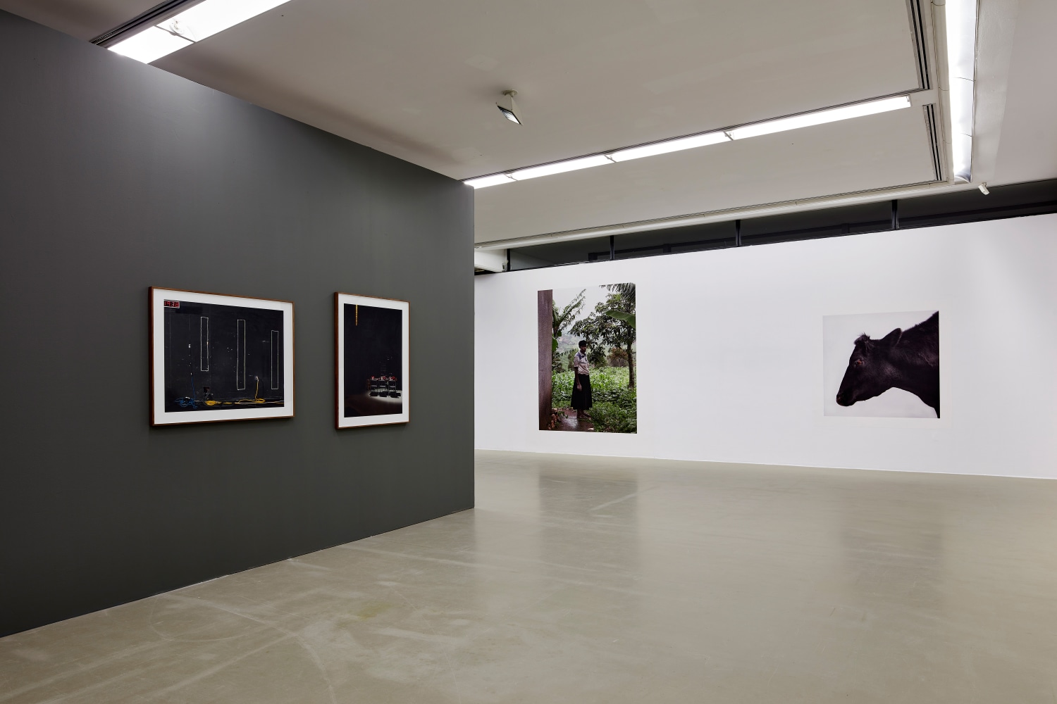 Paul Seawright
Beasts of Burden, 2020
St&amp;auml;dtische Galerie Nordhorn, Germany&amp;nbsp;