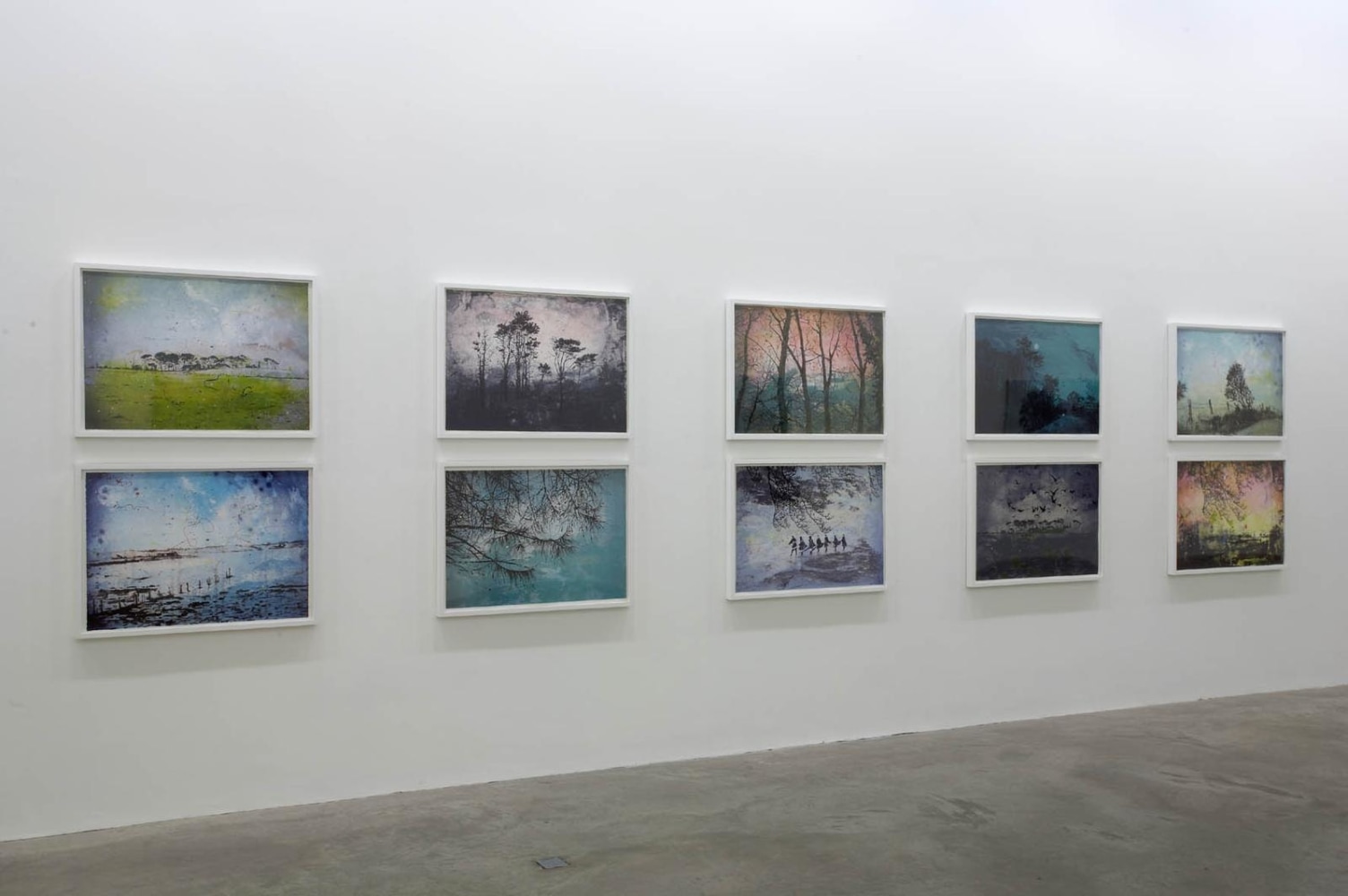 Elizabeth Magill, Arborescence, 4