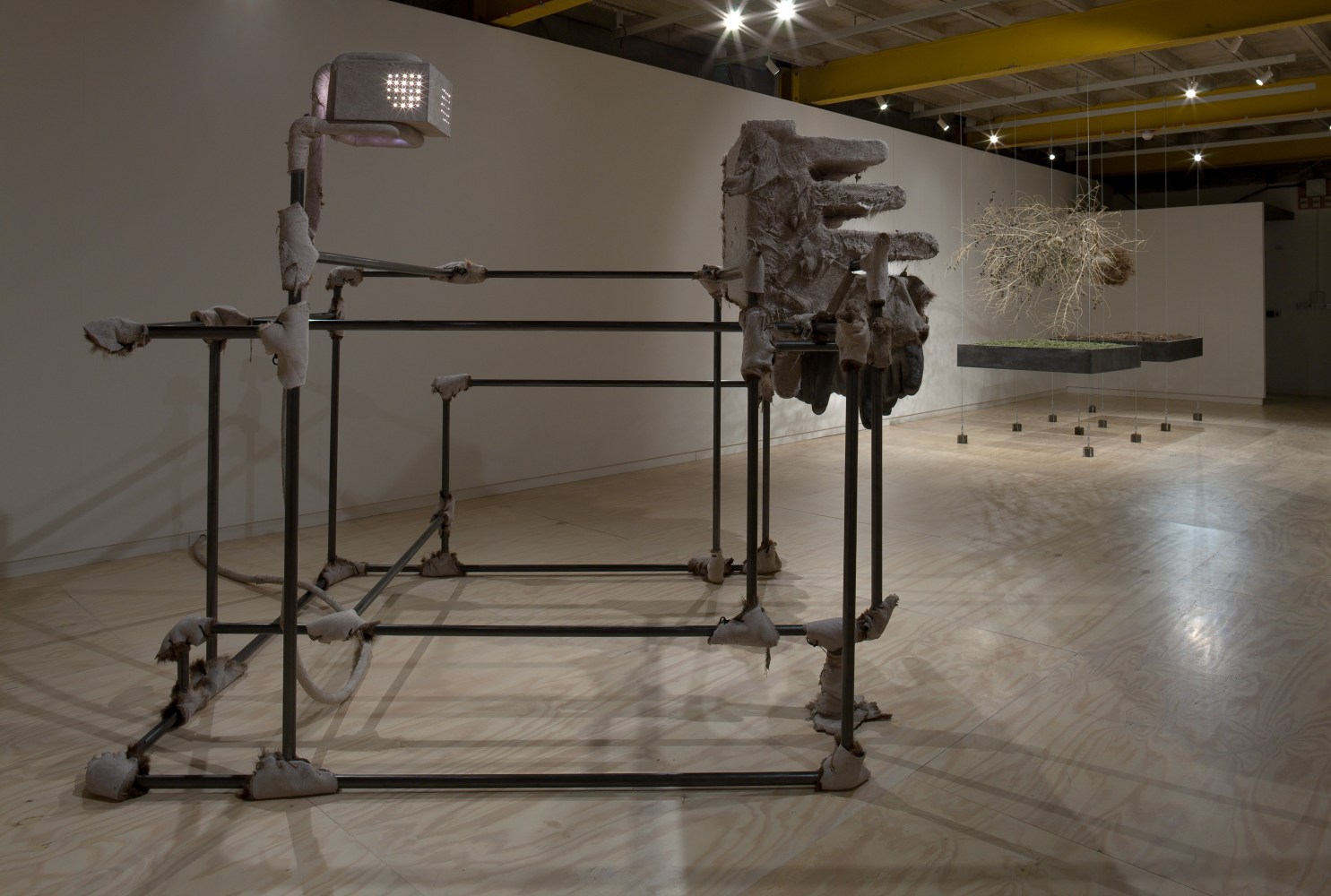 Siobh&amp;aacute;n Hapaska
The Nose that Lost its Dog, 2009
Glasgow Sculpture Studios, Glasgow, UK