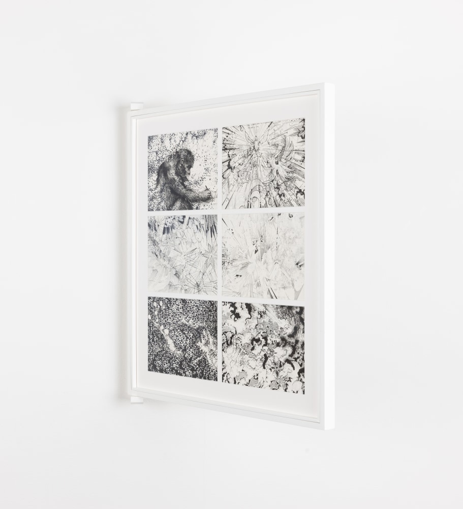 Eoin Mc Hugh&amp;nbsp;
io, pp. 37-42, 2016-2019
pigment ink on paper
six pages, 15 x 20 cm / 5.9 x 7.9 in each
54.7 x 49.7 x 2.5 cm / 21.5 x 19.6 x 1 in framed
Collection of Irish Museum of Modern Art, Dublin

&amp;nbsp;