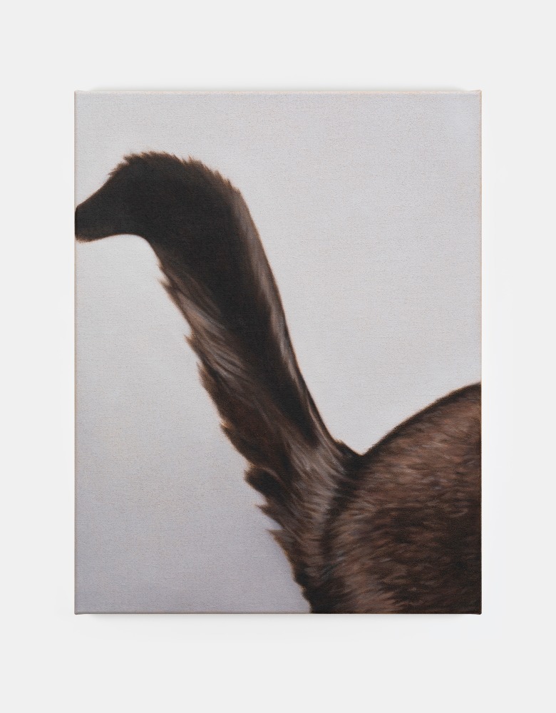 Marcel Vidal

Cat I, 2024

oil on linen

45 x 35 cm / 17.7 x 13.8 in