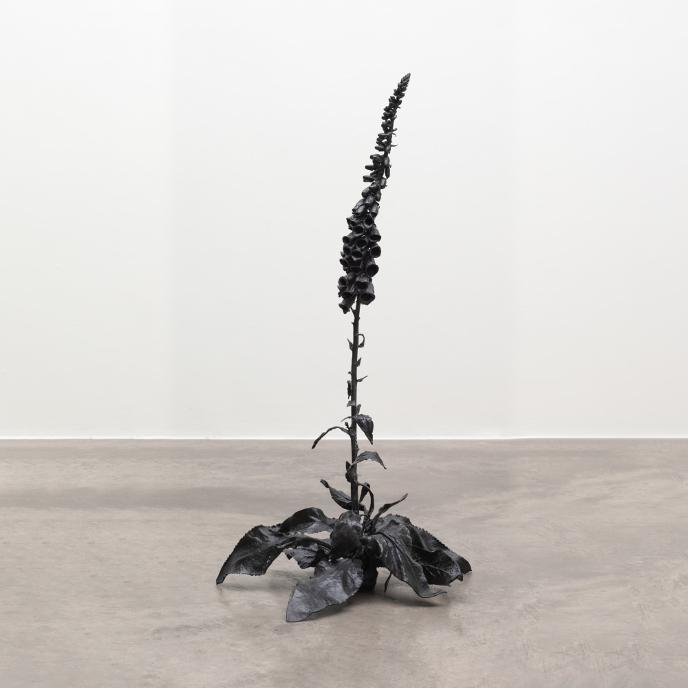 Dorothy Cross&amp;nbsp;

Foxglove 2023

cast bronze

94 x 36 x 49 cm

37 x 14.2 x 19.3 in&amp;nbsp;