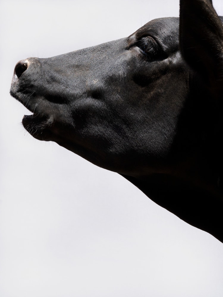 Paul Seawright&amp;nbsp;
Untitled (Beying), 2020
pigment print, framed with clarity glass, edition of 3
145 x 108.75 cm / 57.1 x 42.8 in&amp;nbsp;