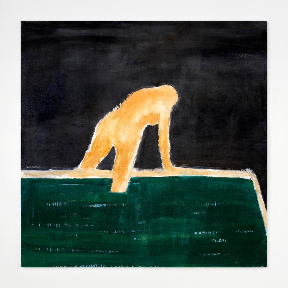 Barrie Cooke, Big Hot Tub