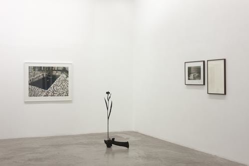 Dorothy Cross &amp;amp; William McKeown,&amp;nbsp;POOL, Kerlin Gallery, Dublin 19th February - 20th March 2010