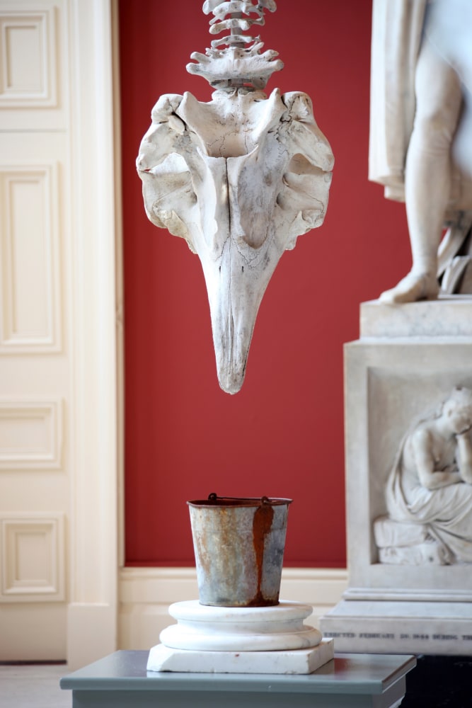 Dorothy Cross
Gravity, 2011
Crawford Art Gallery, Cork, Ireland