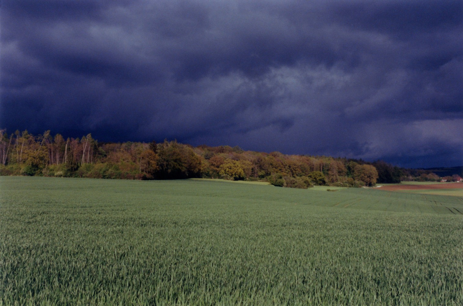 Samuel Laurence Cunnane, Sleight