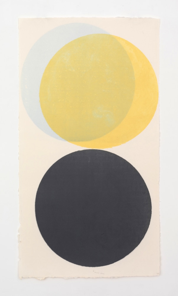 Richard Gorman, Charcoal Yellow Black, 2023, dye on handmade Echizen kozo washi paper, 198 x 108.5 cm