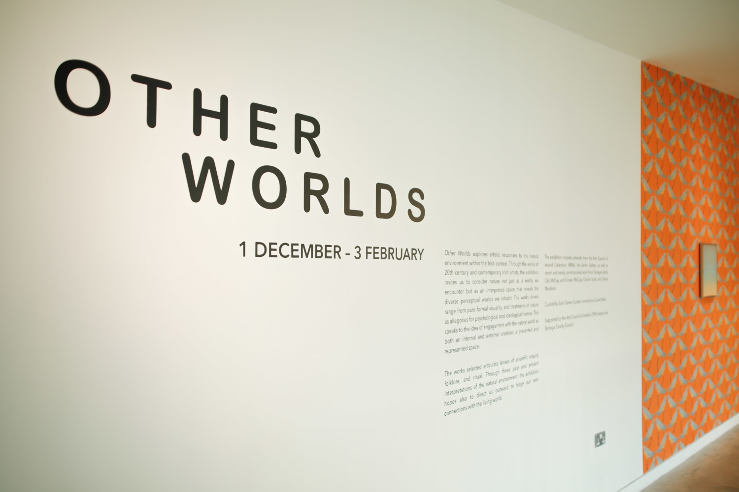 Dorothy Cross, William McKeown in Other Worlds