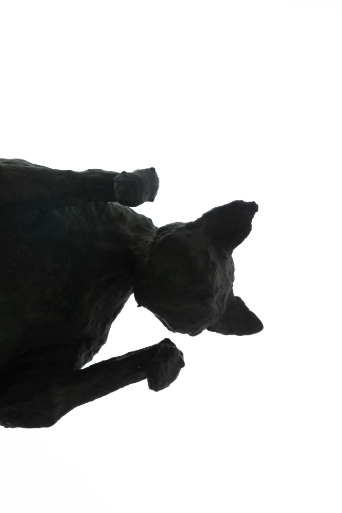 Andy Fitz
Cats VI,&amp;nbsp;2021
wire, card, tape, plaster bandage, pigmented jesmonite
94 x 21 x 50&amp;nbsp;cm / 37 x 8.3 x 19.7 in

&amp;nbsp;