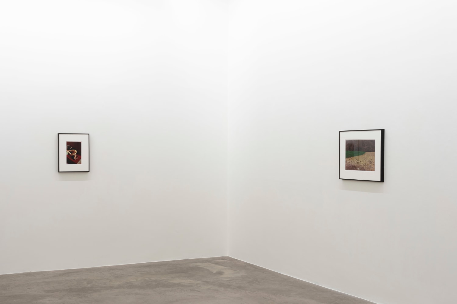 Samuel Laurence Cunnane