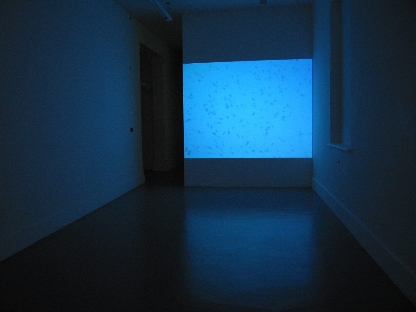 Jaki Irvine
The Silver Bridge, 2005-06
Irish Museum of Modern Art, Dublin, Ireland