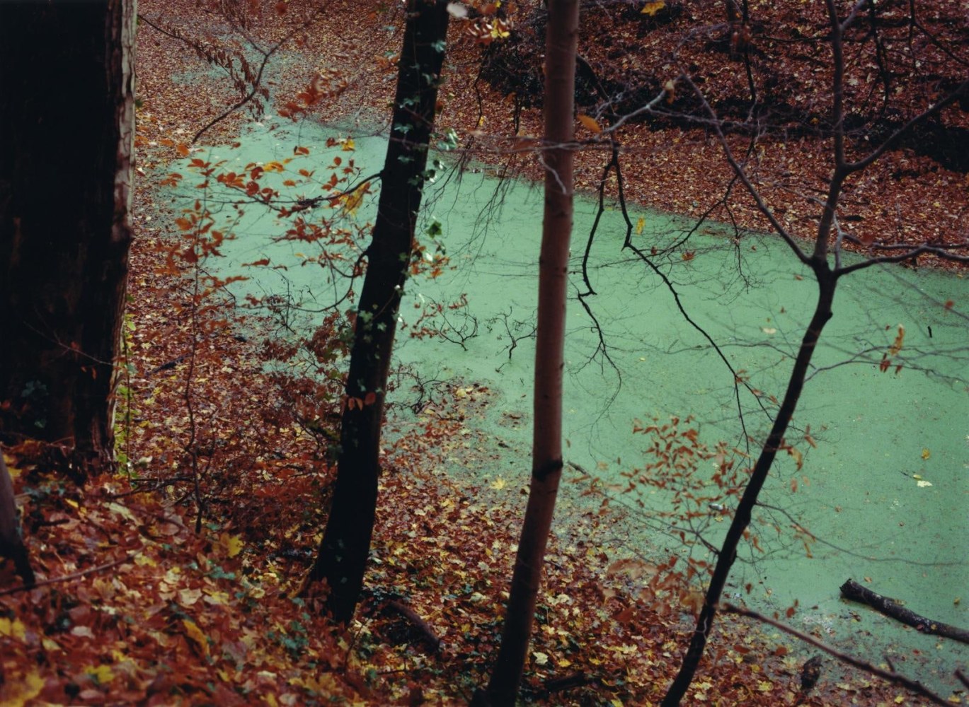 Green river, 2020
hand-printed C-type print on archival photo paper, edition of 3 + 1AP
22.5 x 30.6 cm/ 8.9 x 12 in image size