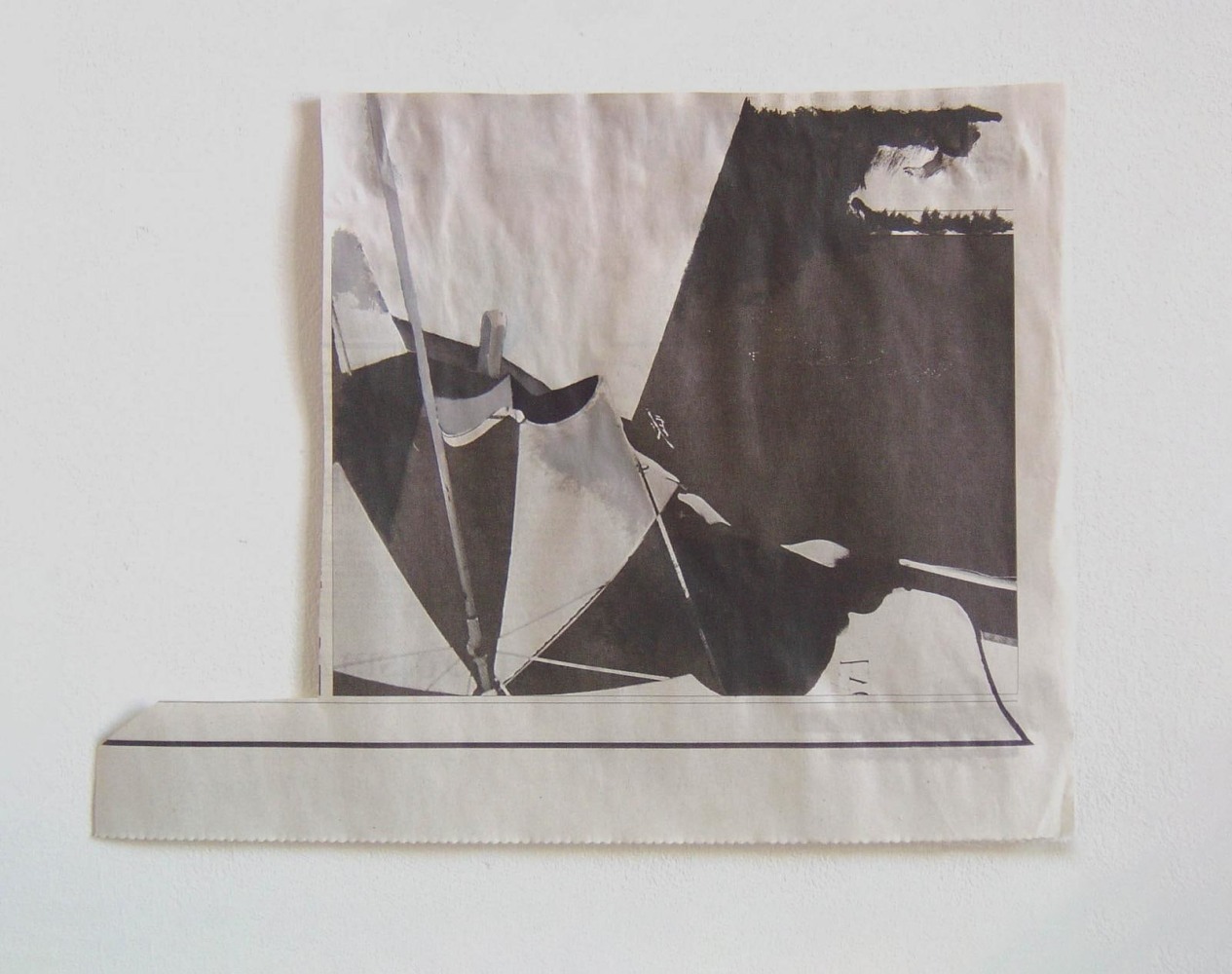 Tony Swain, Hot Food Species