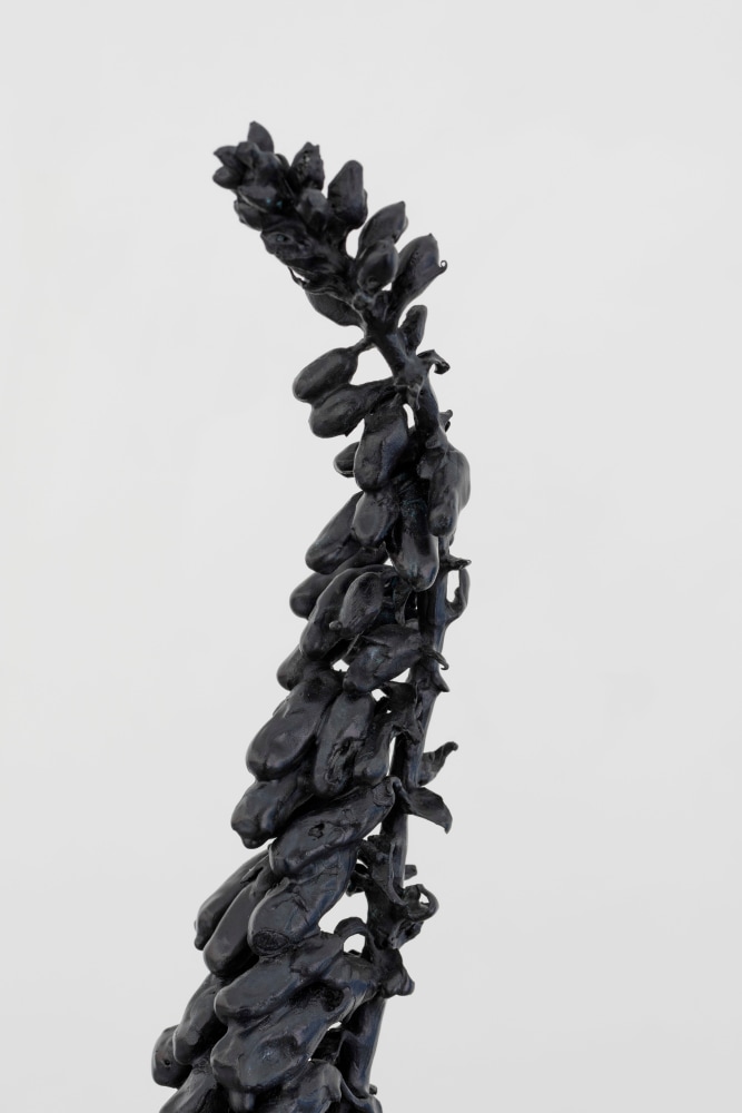 Dorothy Cross
Foxglove, 2024
cast bronze
125 x 58 x 43 cm / 49.2 x 22.8 x 16.9 in
39 x 79.5 x 64.5 cm / 15.4 x 31.3 x 25.4 in plinth