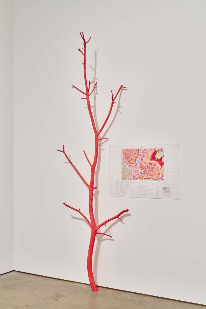 Kathy Prendergast, Stasis Field, installation view, John Hansard Gallery, Southampton, UK, 8 February – 3 May 2025. Photo by Reece Straw