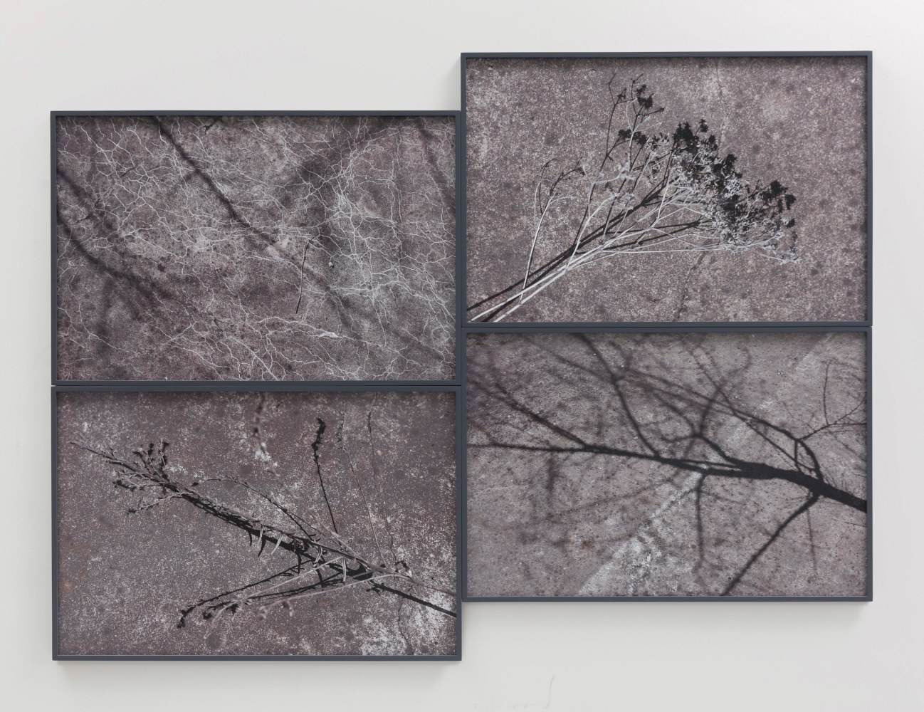 Willie Doherty&amp;nbsp;
Ashen, Restless, 2018
quadriptych, framed pigment print mounted on Dibond
68 x 101.1 cm / 26.8 x 39.8 in each framed&amp;nbsp;

&amp;nbsp;