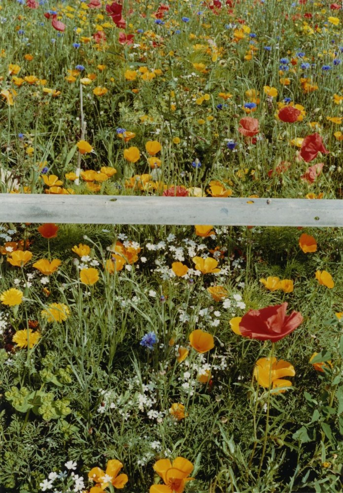 Metal bar, 2019
hand-printed C-type print on archival photo paper, edition of 3 + 1AP
25.5 x 17.8 cm / 10 x 7 in image size