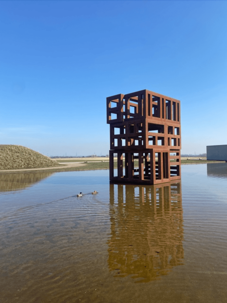 Sean Scully, Song of Colors