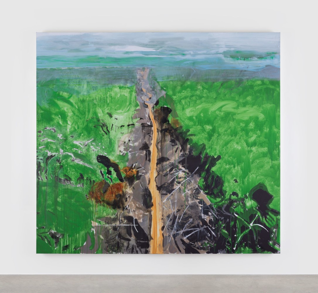 Brian Maguire&amp;nbsp;

The Clearcut (Amazon), 2023

acrylic on canvas

290 x 320 cm