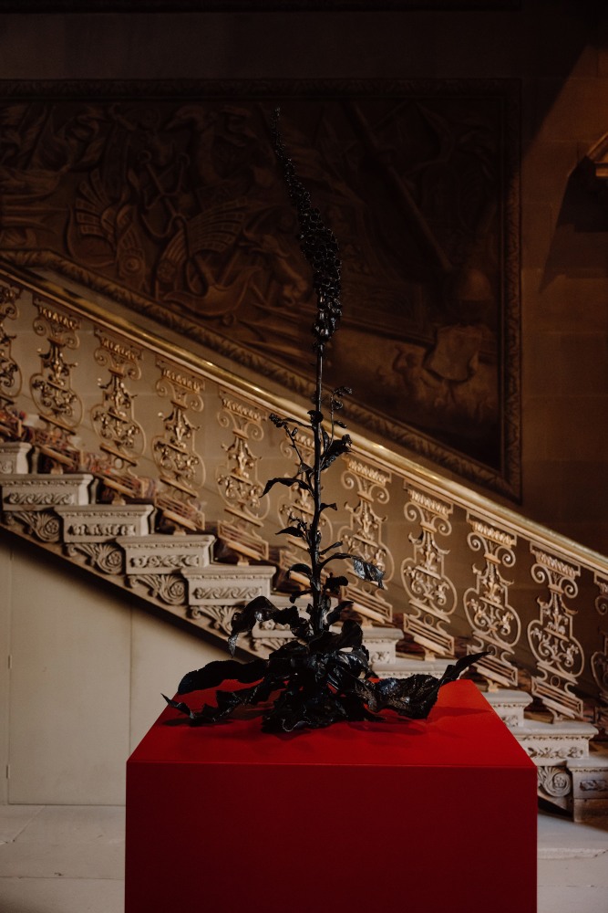 Dorothy Cross in The Gorgeous Nothings: Flowers at Chatsworth, installation view, Chatsworth House, UK. Photo: India Hobson, courtesy of Chatsworth House Trust