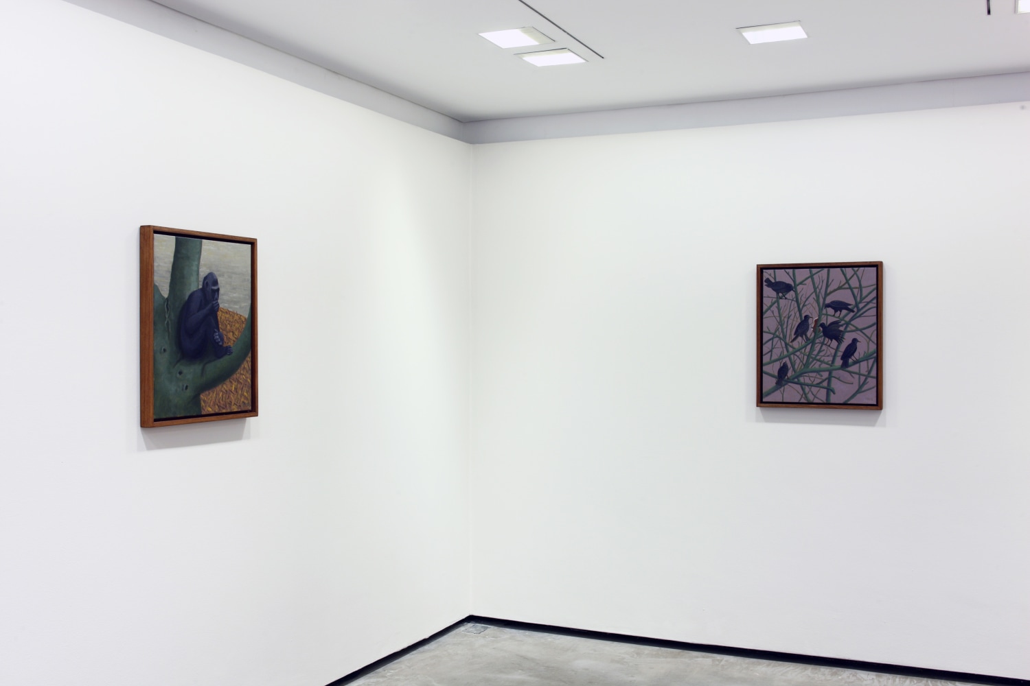 Stephen McKenna
The Paradise [36], 2012
Douglas Hyde Gallery, Dublin, Ireland