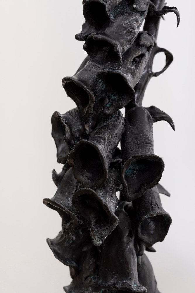 Dorothy Cross&amp;nbsp;

Foxglove, 2024 (detail)

cast bronze

133 x 48 x 68 cm

52.4 x 18.9 x 26.8 in&amp;nbsp;