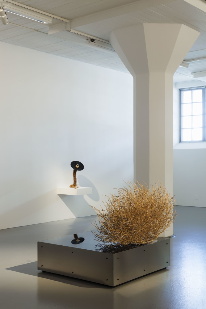 Siobh&amp;aacute;n Hapaska
Siobh&amp;aacute;n Hapaska, 2013
Magasin III, Stockholm Konsthall, Stockholm, Sweden

&amp;nbsp;