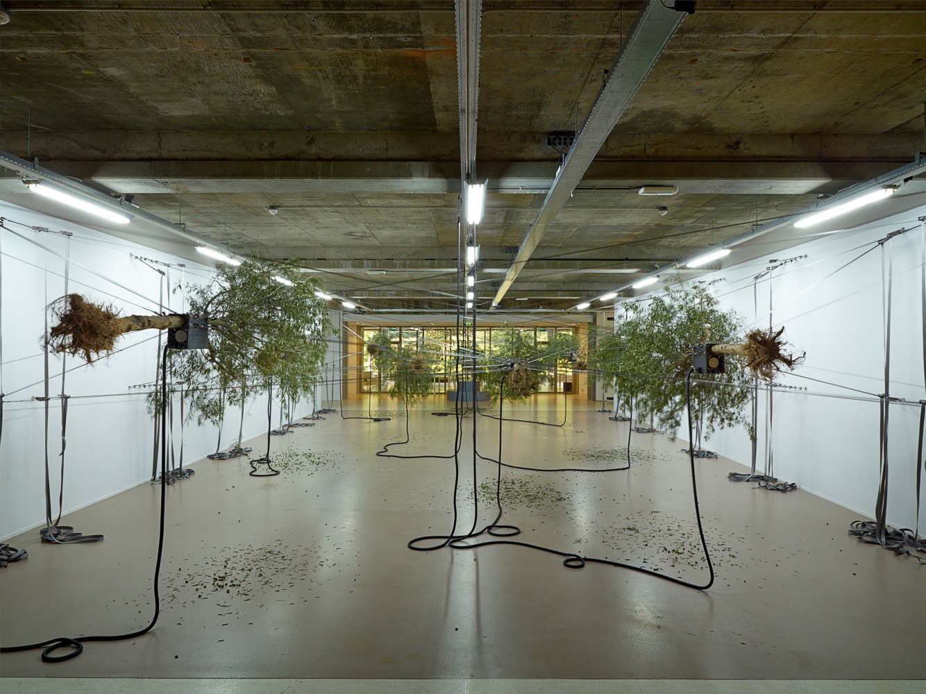 Siobh&amp;aacute;n Hapaska
Sensory Spaces, 2014
Museum Boijmans Van Beuningen, Rotterdam, The Netherlands
Photo: Hans Wilschut, Rotterdam

&amp;nbsp;