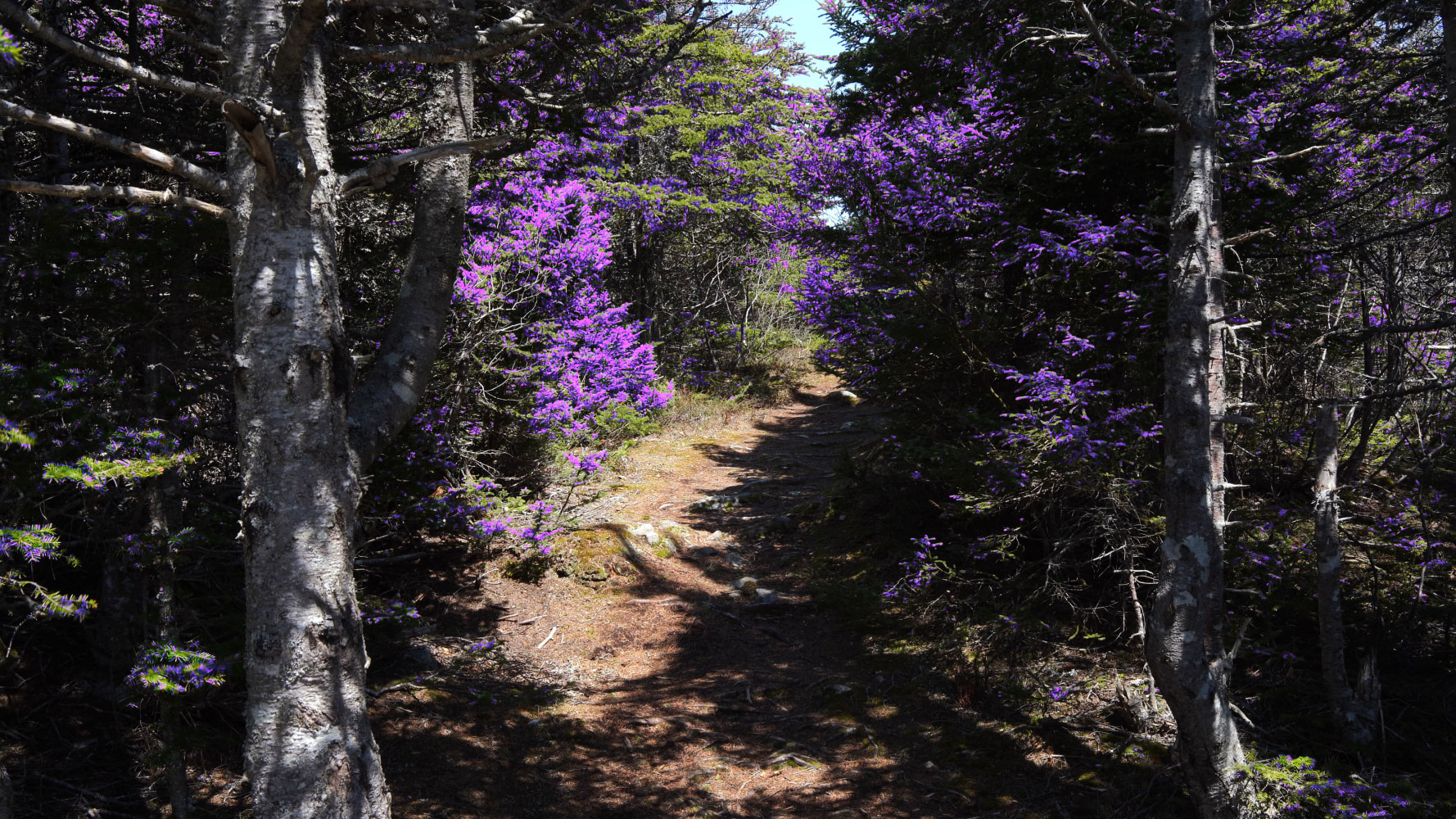 Liam Gillick, Quantified Variability, 2024, 4K video, colour, sound. Filmed on Fogo Island, Newfoundland.